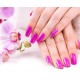 Formação Unhas de Imersão em Pó