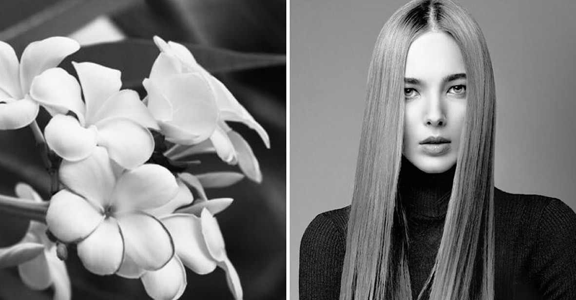 Flower PH